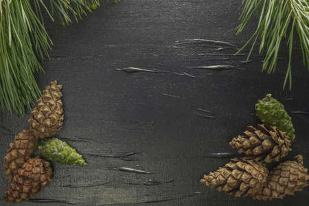 A black background with a pine motif. Cones and needles of a tree. Background for the restaurant...