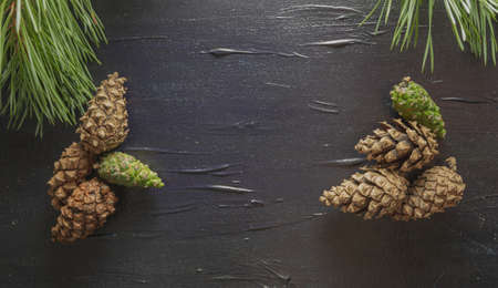 A black background with a pine motif. Cones and needles of a tree. Background for the restaurant...