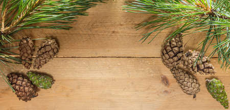 Wooden background for a pine theme. Cones and needles of a tree. Background for the restaurant menu,...