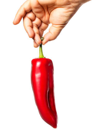 Hand holding a red bell sweet pepper. Hand, paprika white background. Vegetables in the kitchen.の写真素材
