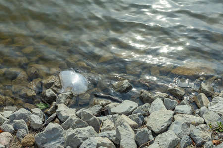 Plastic packaging in the natural environment. Empty used dirty plastic bottles. Environmental pollution. Used plastic waste packaging. Environmental Protection. Take care of nature.の写真素材