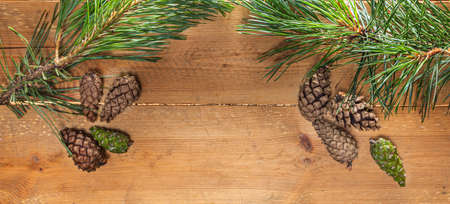 Christmas background with sprigs. Green branches of conifers. Natural wood. Christmas wishes.の写真素材