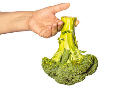 Hand holding broccoli on a white background. Healthy food. Vegetables and vegetarians. Vegan flavors. Vitamins in vegetables.の写真素材