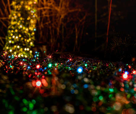 Christmas lights at night. Colorful lights. Light effects. Tree after dark. Europa Poland Sulejowekの写真素材
