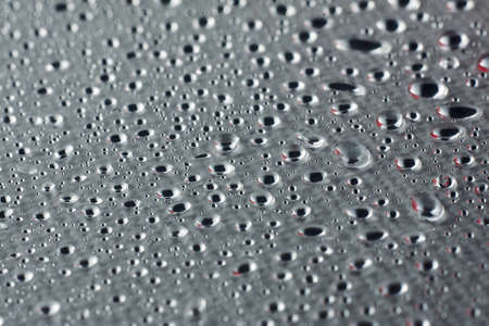 Water drops closeup. Wet background. Water theme. After rain.の写真素材