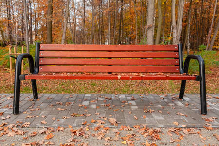 A park bench with autumn leaves and water drops. Brown bench planks. Raindrops. Yellow leaves and park. A walk in the fall. October details. October, Poland, Mazovia.の写真素材