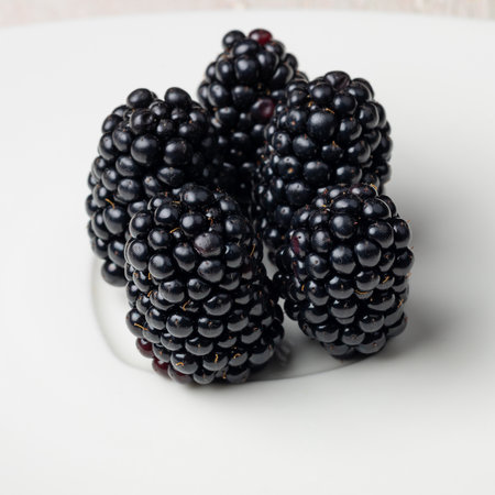 Blackberries on a white plate. Blackberries on a white background.の写真素材