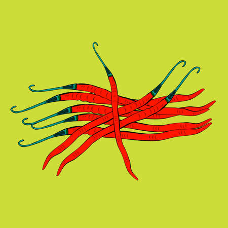 Vector illustration design of eight red chilies suitable for logo designs, icons, stickers, mascots, brands, and t-shirt screen printingのイラスト素材