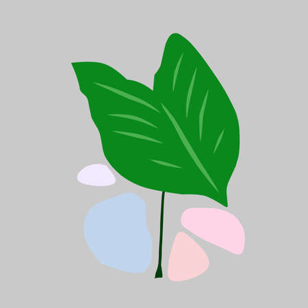 Simple illustration vector design of taro leaves suitable for logo designs, icons, mascots, stickers, and t-shirt screen printingのイラスト素材