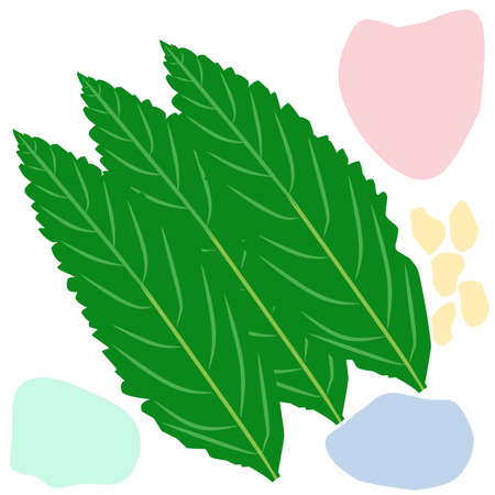 Simple vector design of abstract art three leaf wall decoration suitable for icon design, mascot, brand, poster, and t-shirt screen printingのイラスト素材