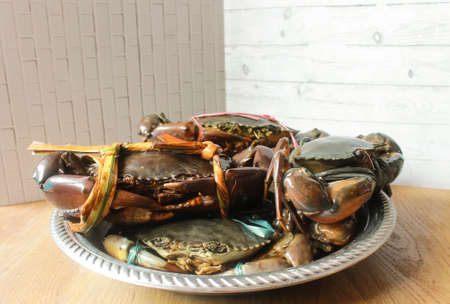 Photo of Pile of Mangrove Crab prepared for cleaning and cookingの写真素材