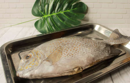 Photo of a Baronang fish on a wooden patterned table prepared to be cleaned and cookedの写真素材