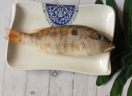 Photo of Snapper which in Indonesia is called KAKAP PASIR in a white plate being prepared to be cleaned and cooked in the kitchenの写真素材