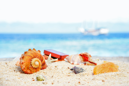 Various beautifull seashells starfish and chest against the tropical blue sea at sunny dayの写真素材
