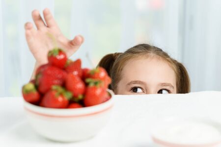 Young cute smiling european little girl is trying to steal ripe jucy strawberry from plate of many berries while she sitting under white tableの写真素材