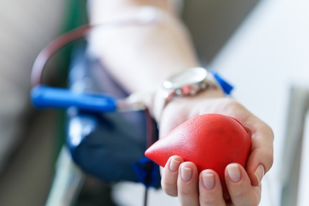 young caucasian woman with toy heart in the hand donates blood for saving lives and medical research in some hospital at day timeの写真素材