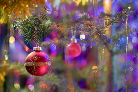 Christmas red shining ball decorations on the Christmas-tree branch with garlands and lights