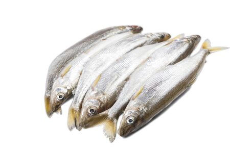 six pieces of isolated smelt fish on white backgroundの写真素材
