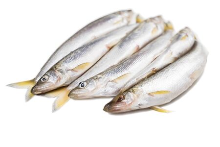 six pieces of isolated smelt fish on white backgroundの写真素材