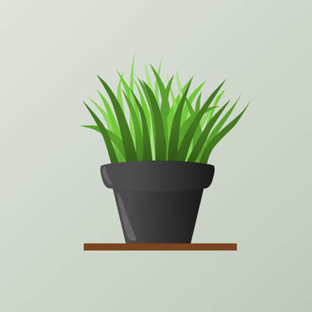 ornamental plants grassのイラスト素材
