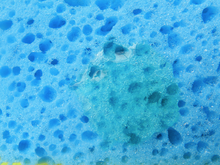 Close up photo of blue sponge on a green backgroundの写真素材