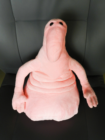 Wait pink toy in office chairの写真素材