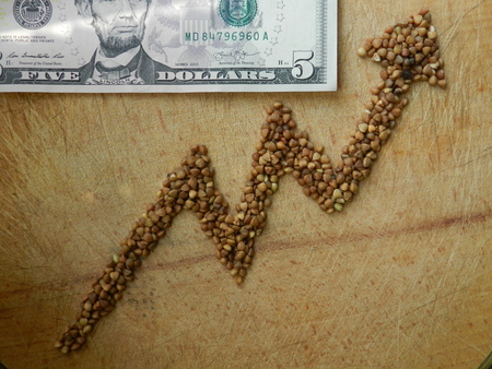 Buckwheat up arrow illustrating buckwheat price growth on the wooden background with five dollars banknoteの写真素材