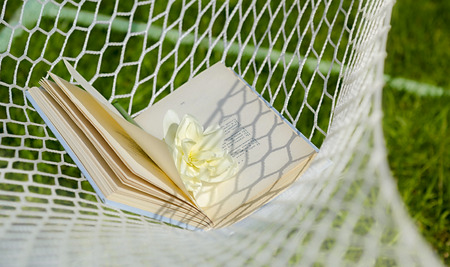 Summer backgound with open bookの写真素材