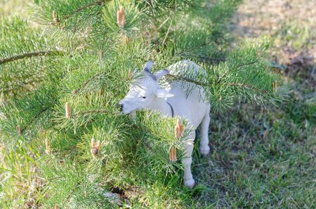 One of the variants of decor garden statue goatの写真素材