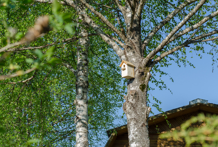 Bird house hanging from the tree with the entrance hole in the shape of a circle.の写真素材