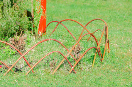 Original decor garden plot with red twigsの写真素材