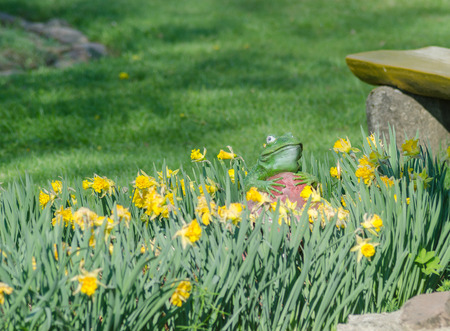 One of the variants of decor garden statue frogの写真素材