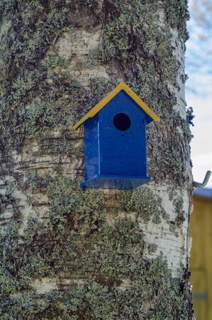 Bird house hanging from the tree with the entrance hole in the shape of a circle.の写真素材