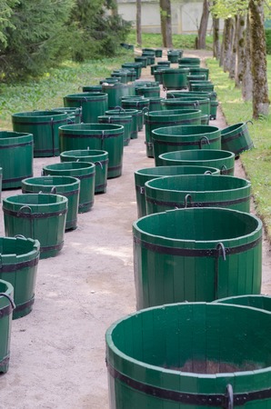 Many green wooden barrelsの写真素材