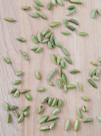 Dry aroma cardamon on the wooden board. Closeupの写真素材