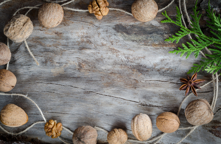 Walnuts on aged wood from a branch of the thuja. Closeupの写真素材
