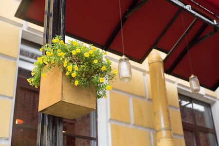 An outside basket filled with yellow flowers.の写真素材