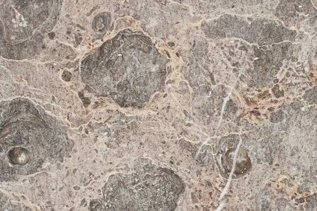Marble Tiles texture wall marble backgroundの写真素材
