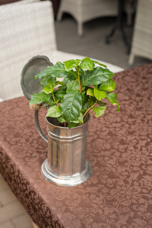 Metal vase in the form of a mug with a plant inside.の写真素材
