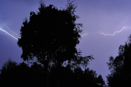 Lightning strike on a dark blue sky over the forest silhouette.の写真素材