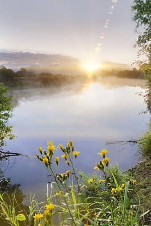 Beautiful morning on a river meander in a natural landscape with lot of fog and steam at sunrise with wild yellow flowers in the foreground.の写真素材