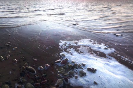 Sandy beach with rocks and foaming. Estonia.の写真素材