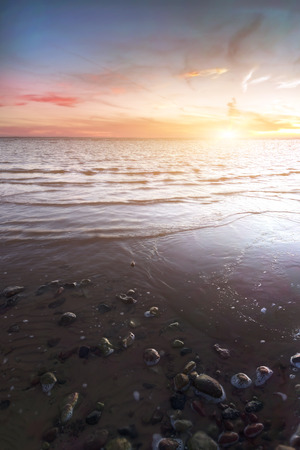 Sandy beach with rocks and foaming. Estonia.の写真素材