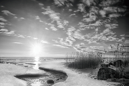 black and white picture of Chudskoy Lake. Estoniaの写真素材