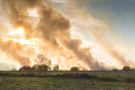 Forest and steppe fires dry completely destroy the fields and steppes during a severe drought. Disaster brings regular damage to nature and economy of region. Lights field with the harvest of wheatの写真素材