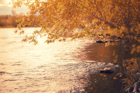 Fantastic foggy river with fresh green grass in the sunlight. Sun beams through tree. Dramatic colorful sceneryの写真素材