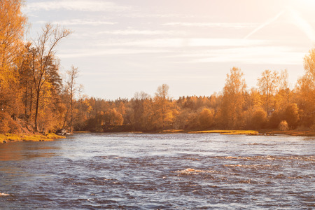 Fantastic foggy river with fresh green grass in the sunlight. Sun beams through tree. Dramatic colorful sceneryの写真素材