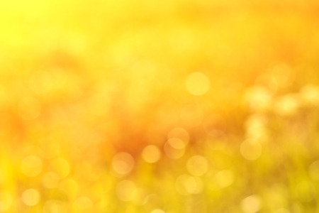 Wonderful yellow blurred background with sunlight. Bokehの写真素材