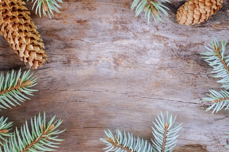 Christmas composition: Fresh branches of blue spruce with cones on aged wooden background. Top view.の写真素材