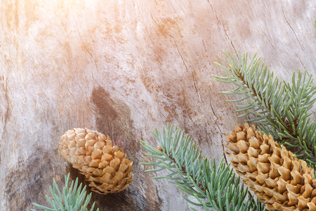 Christmas composition: Fresh branches of blue spruce with cones on aged wooden background. Top view.の写真素材